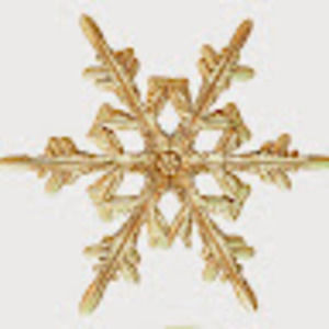 Meet your Posher, Rs